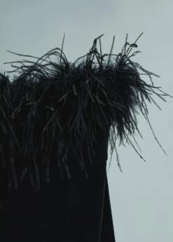 Robe Bustier Détail Plumes -New Trendy Shop 57005154 99 D8