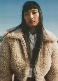 Chemise Coton Crop -New Trendy Shop 57024775 01 D9